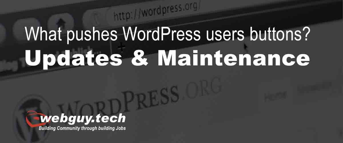 Updates and Maintenance - What Pushes A WordPress Users Buttons